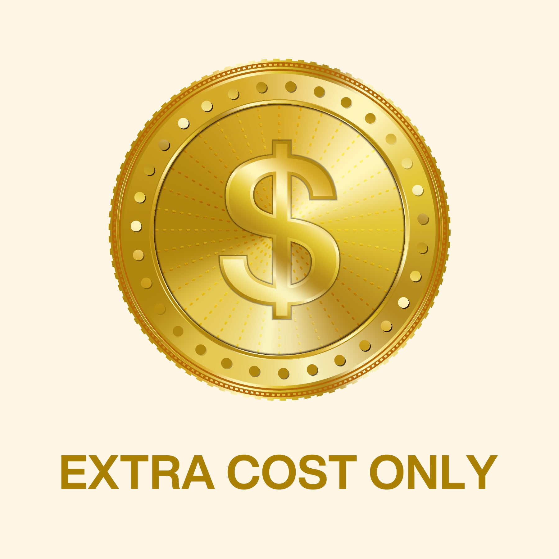 Special Links, Only for Extra Fee Please Pay Here