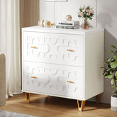 2 - Drawer File Cabinet, Modern Storage Filing Cabinet Printer Stand Tribesigns 3