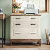 Lateral File Cabinet, 3 - drawer Filing Cabinet For A4/letter/legal Size Tribesigns 3